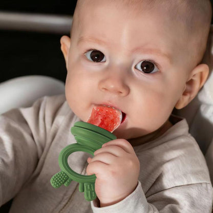Baby Fruit Feeder Pacifier 2 Pack